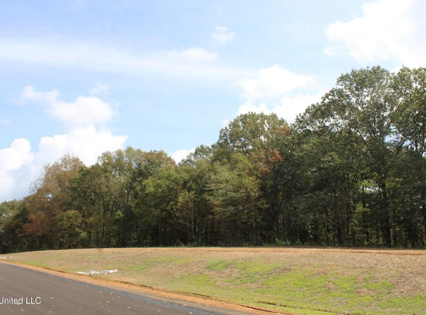 5077 Old Barn Cove lot: 16, Hernando, MS 38632