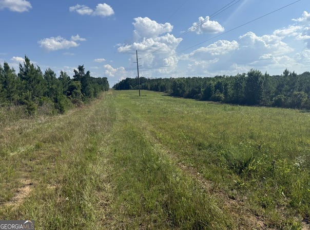 009 George Milling Road, Cuthbert, GA 39840