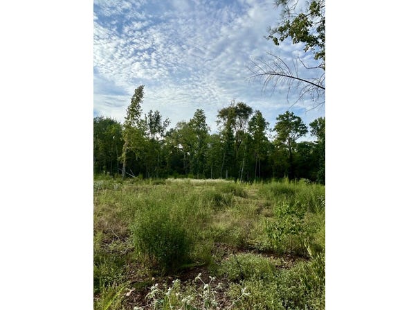 PID 28848 CR 1735, Grapeland, TX 75844