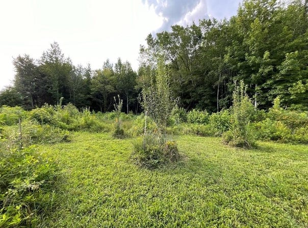 Somerset Dr, PARIS, TN 38242