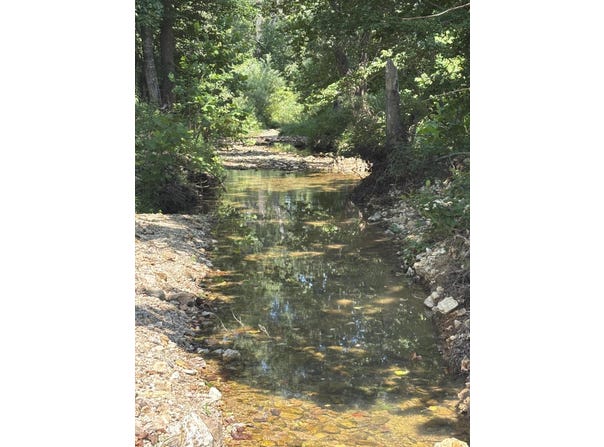 County Road 534, Ellington, MO 63638