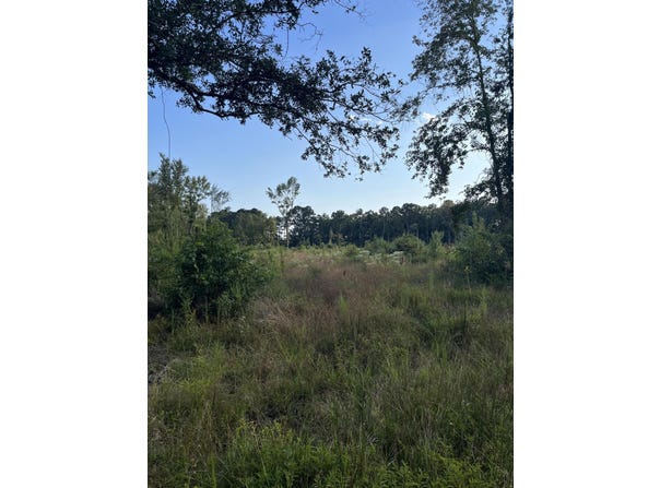 Yaremich Road, Moncks Corner, SC 29461