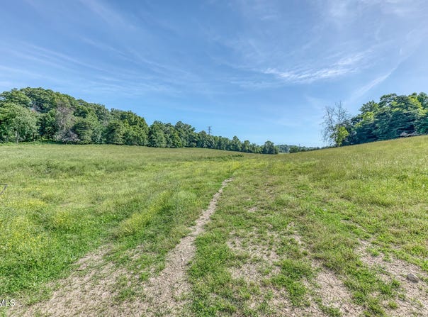 Treadway Trail, Telford, TN 37690