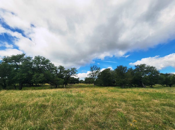 290 CR 409, Cherokee, TX 76832