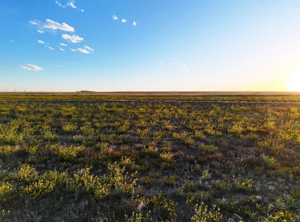 County Road 12, Rush, CO 80833