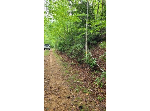 Gumtree Road, Beech Mountain, NC 28604