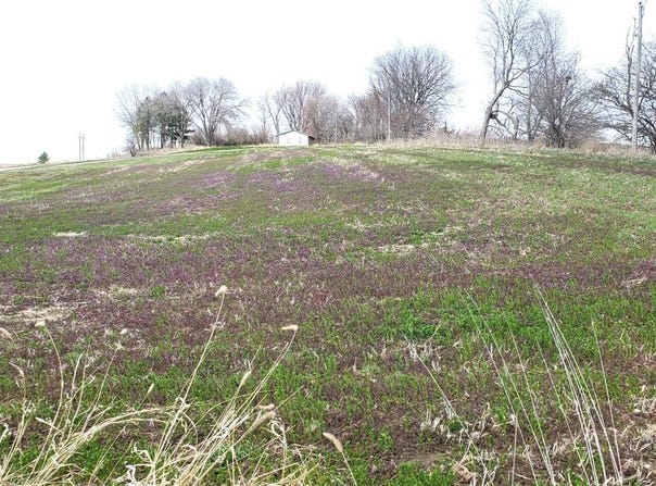 2386 Avenue O, Denison, IA 51442