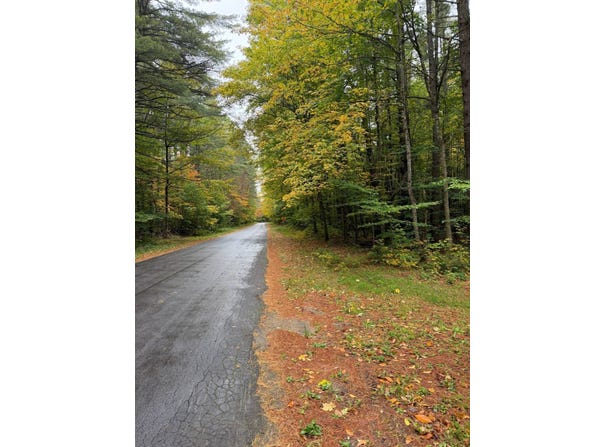 Millwood Hill Rd, Ohio, NY 13324