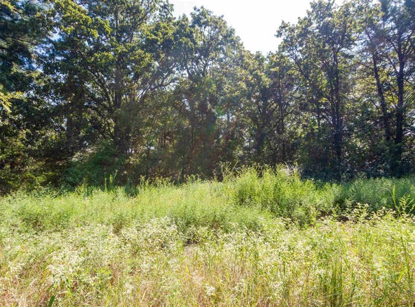 13234 Mountain View Rd S, Winona, TX 75792