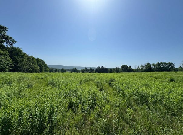Wilbur Hill Rd, Butternuts, NY 13776