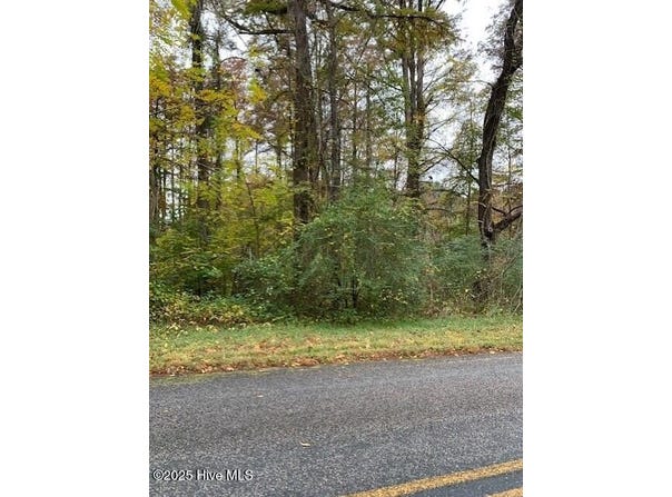 Swains Mill Road, Harrellsville, NC 27942