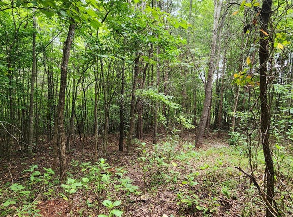 Brooks Mill Rd lot: 6, Glade Hill, VA 24092