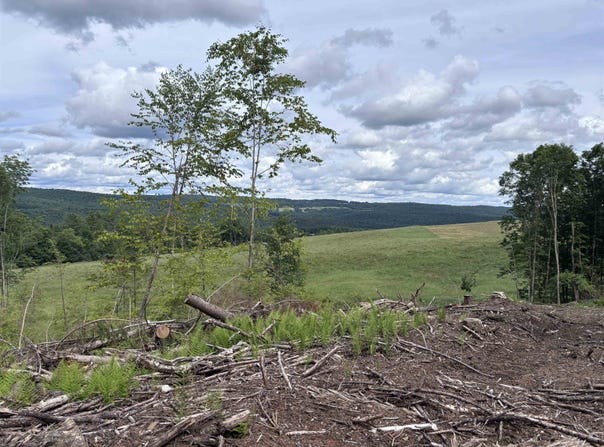Davis Acres Road, Brookfield, VT 05060
