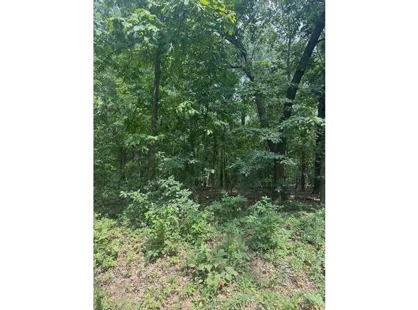 Private Road Cc-200, Alton, MO 65606