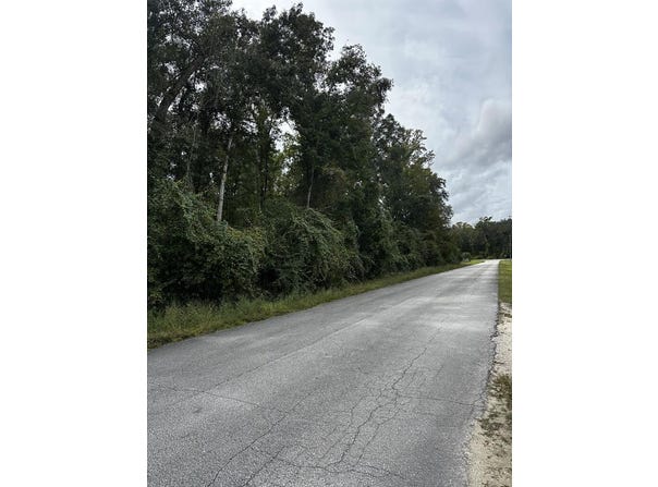NE 303rd Ave, Old Town, FL 32680