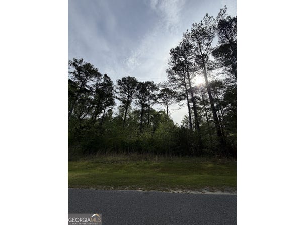 Brower Court, Dublin, GA 31021