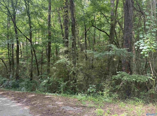 Davis Drive lot: 11, Glencoe, AL 35904