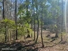 Turkey Creek Road, Natchez, MS 39120