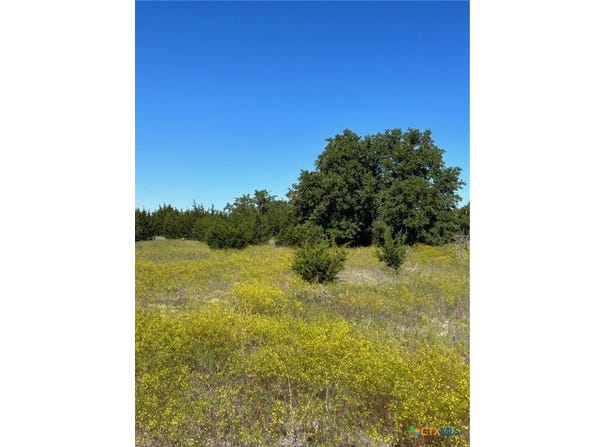 102 Cedar Bluff Loop, Gatesville, TX 76528