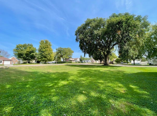 124 N Park Avenue, Springfield, MN 56087