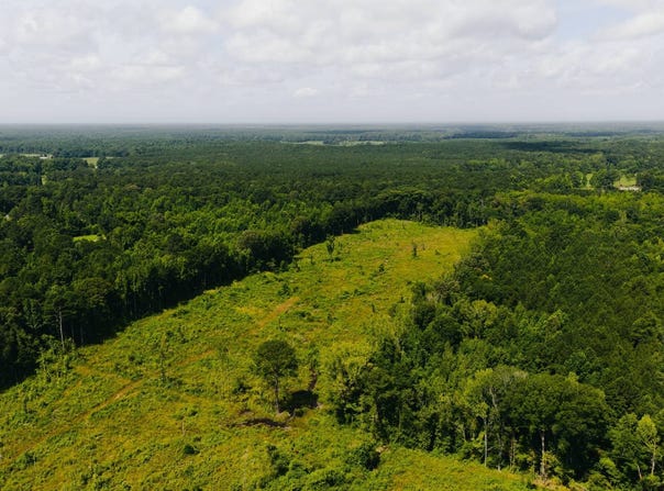 -- Calhoun Lane, Forest, MS 39074