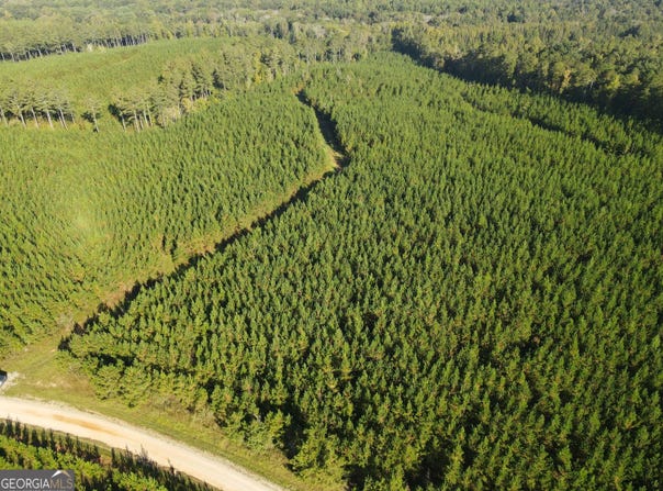 Kilpatrick Rd Tract 1D, Eatonton, GA 31024