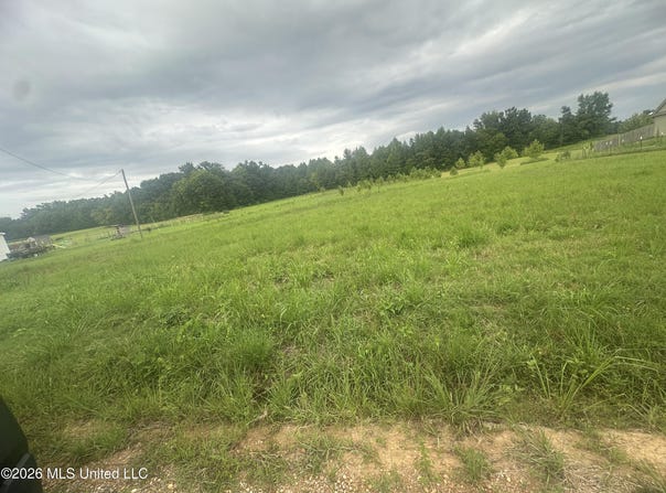 78 Boone Road, Holly Springs, MS 38635