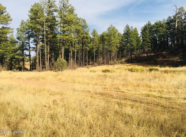 AZ-260, Show Low, AZ 85901