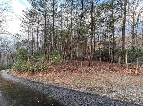 70 Canvasback Ct, Whittier, NC 28789