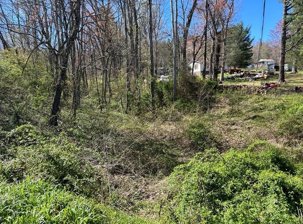 Cherry Lane lot: 0, Ivanhoe, VA 24350