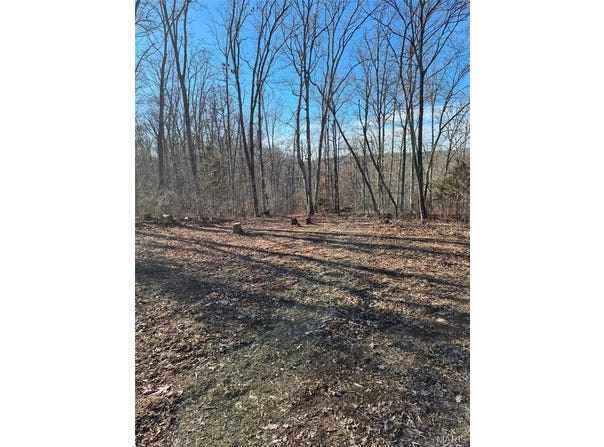 Catawba Drive, De Soto, MO 63020