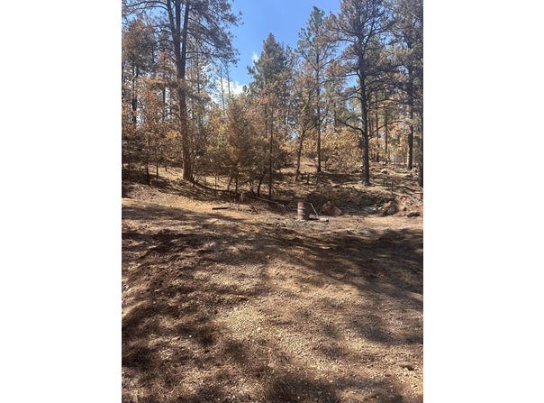 9087 S Pine Dr, Beulah, CO 81023