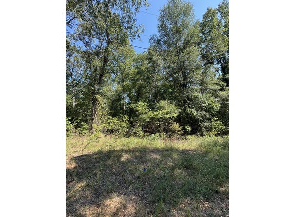 Lake Lurleen Rd, Coker, AL 35452