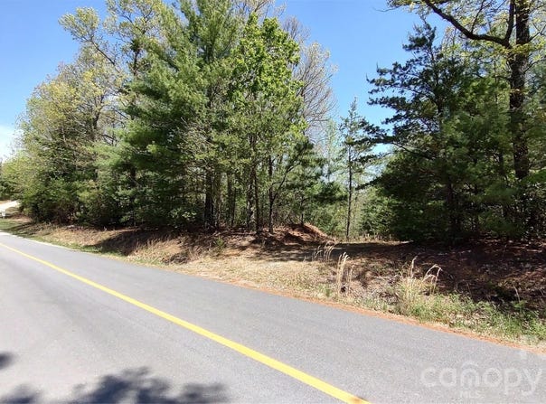 Staghorn Road, Purlear, NC 28665