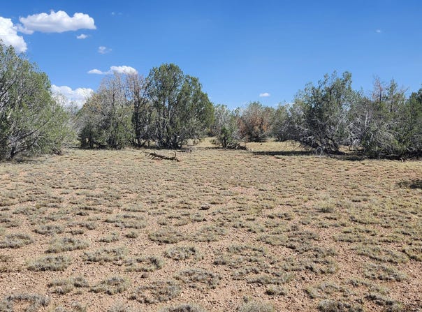 2901 N Cienega Drive, Ash Fork, AZ 86320