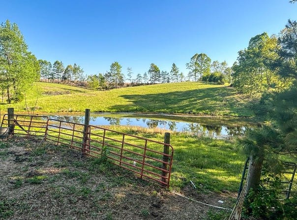 1185 Blackburn Rd., MCKENZIE, TN 38201