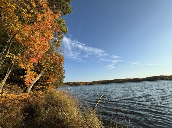 Pristine Woods Lane, Bellaire, MI 49615