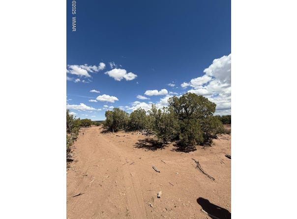 8933 Blue Jay Lane, Snowflake, AZ 85937