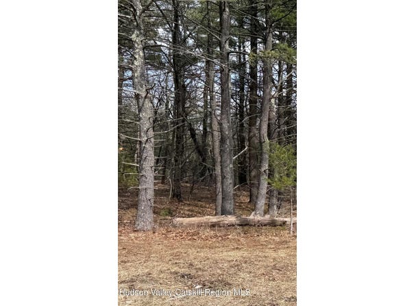 County Route 312, Coeymans, NY 12045