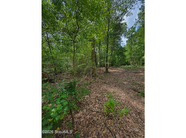 Second Avenue, Waynesville, GA 31566