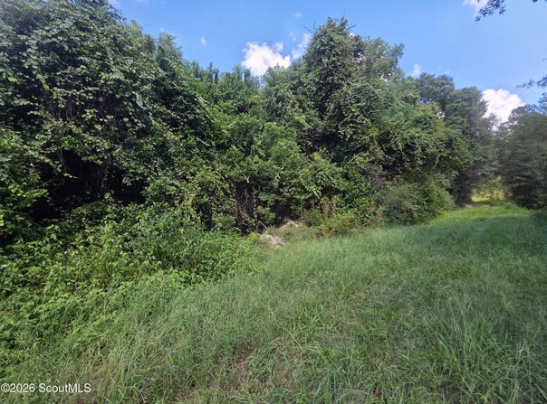 Alpha Street, Waycross, GA 31503