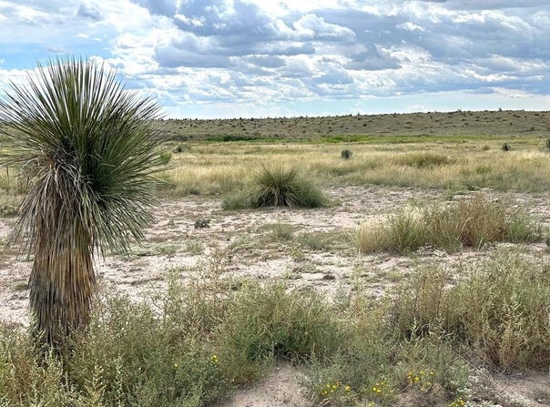 1850 Rabbit Rd, Marfa, TX 79843