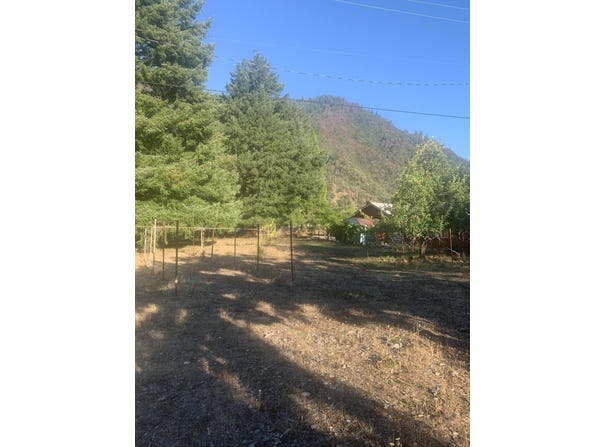 86 Riverside Lane, Willow Creek, CA 95573