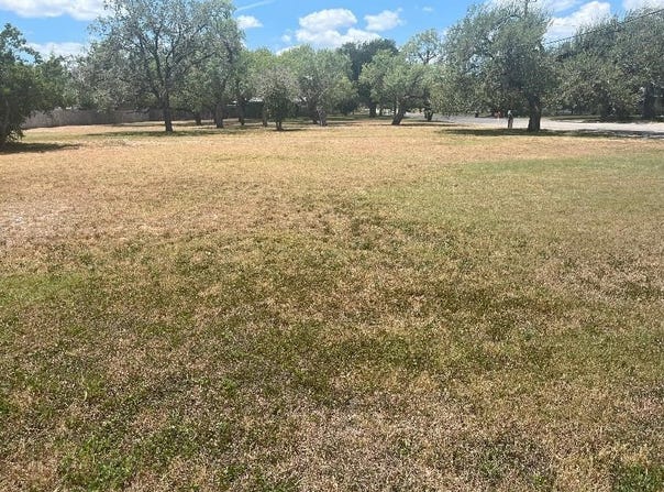 Houston lot: 1&2, George West, TX 78022