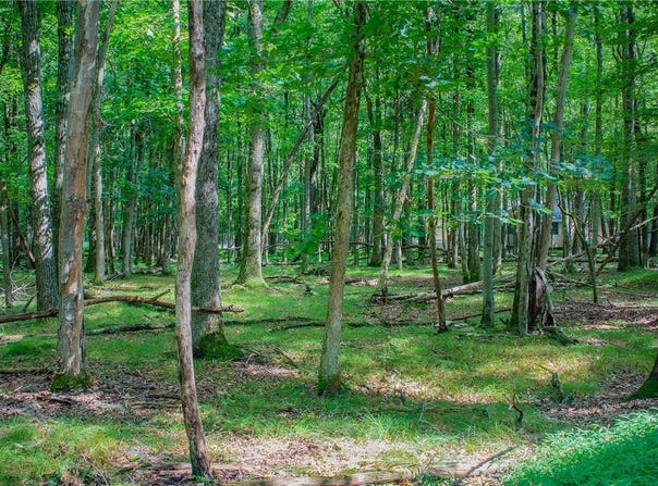 Yana Lane, Penn Forest Twp, PA 18210