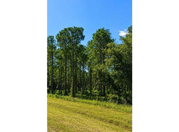 S STATE HWY 109, Dothan, AL 36301