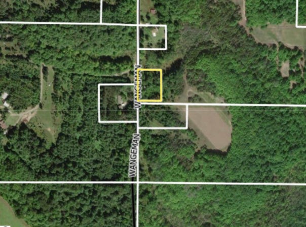 Wangeman Road, East Jordan, MI 49727
