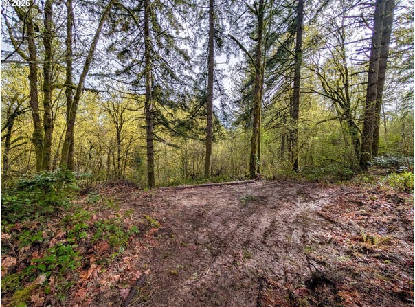 NE FINALBURG Rd, LaCenter, WA 98629