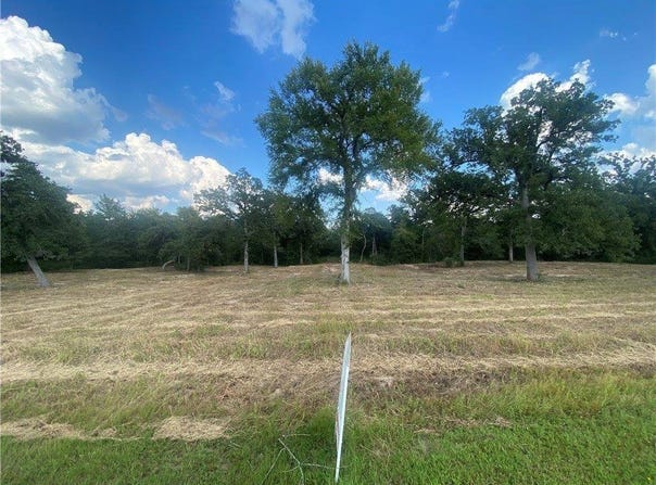 10144 Albert Drive, Iola, TX 77861