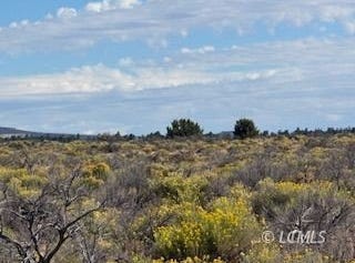 Stagecoach Lane, Christmas Valley, OR 97641